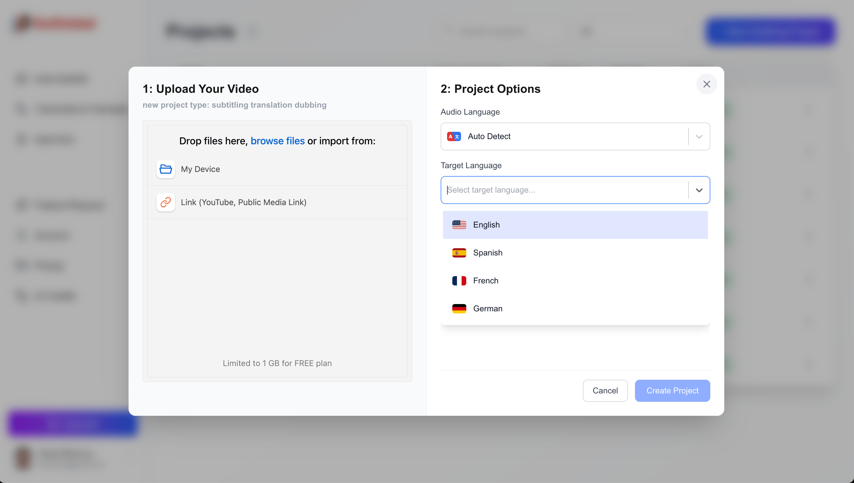 Multi-Language Subtitling Desktop Interface