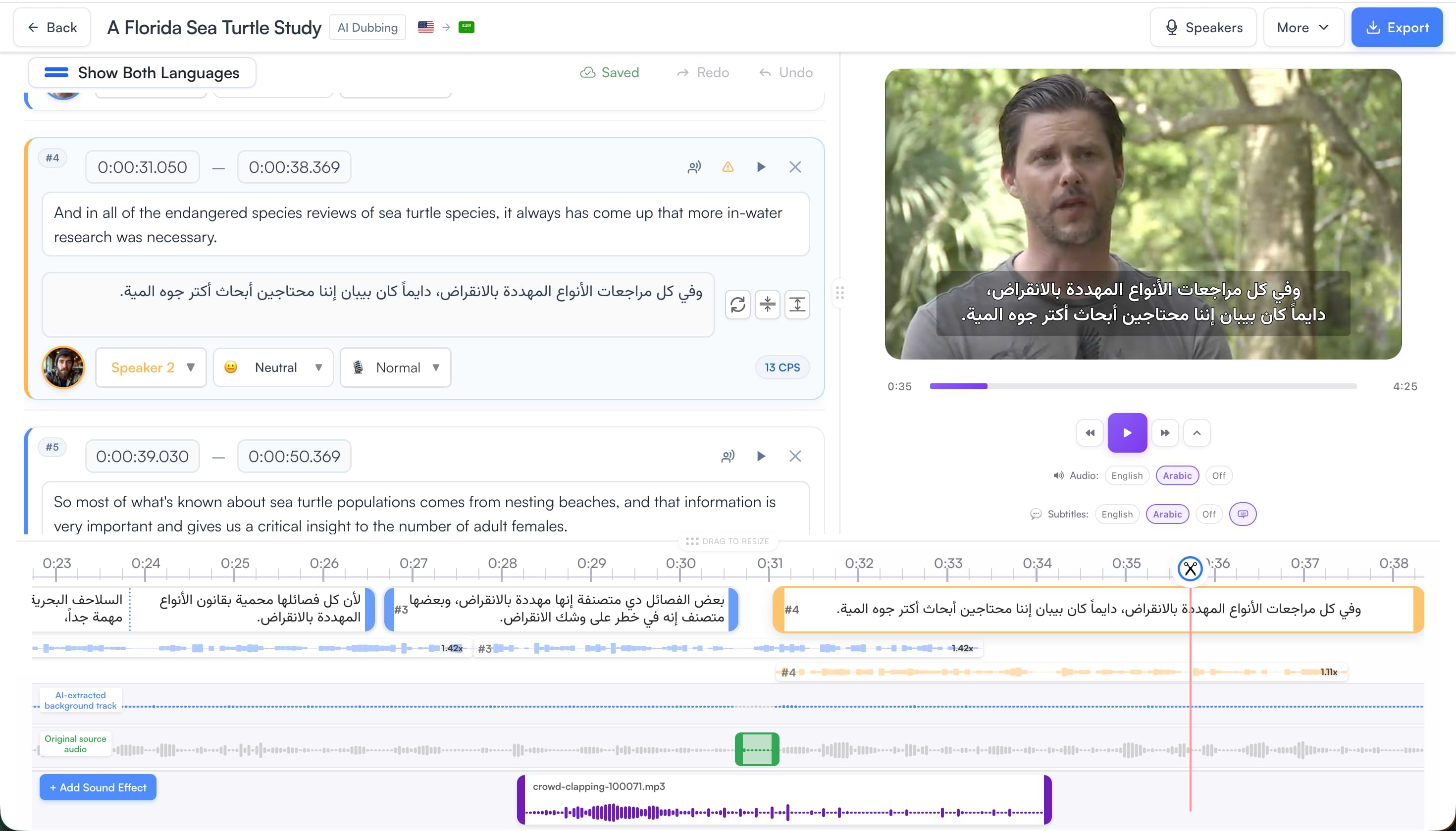 Subtitle editor desktop interface