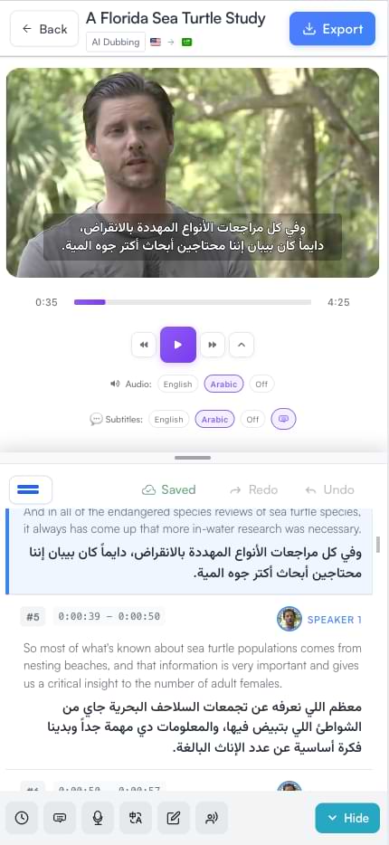 Subtitle editor mobile interface