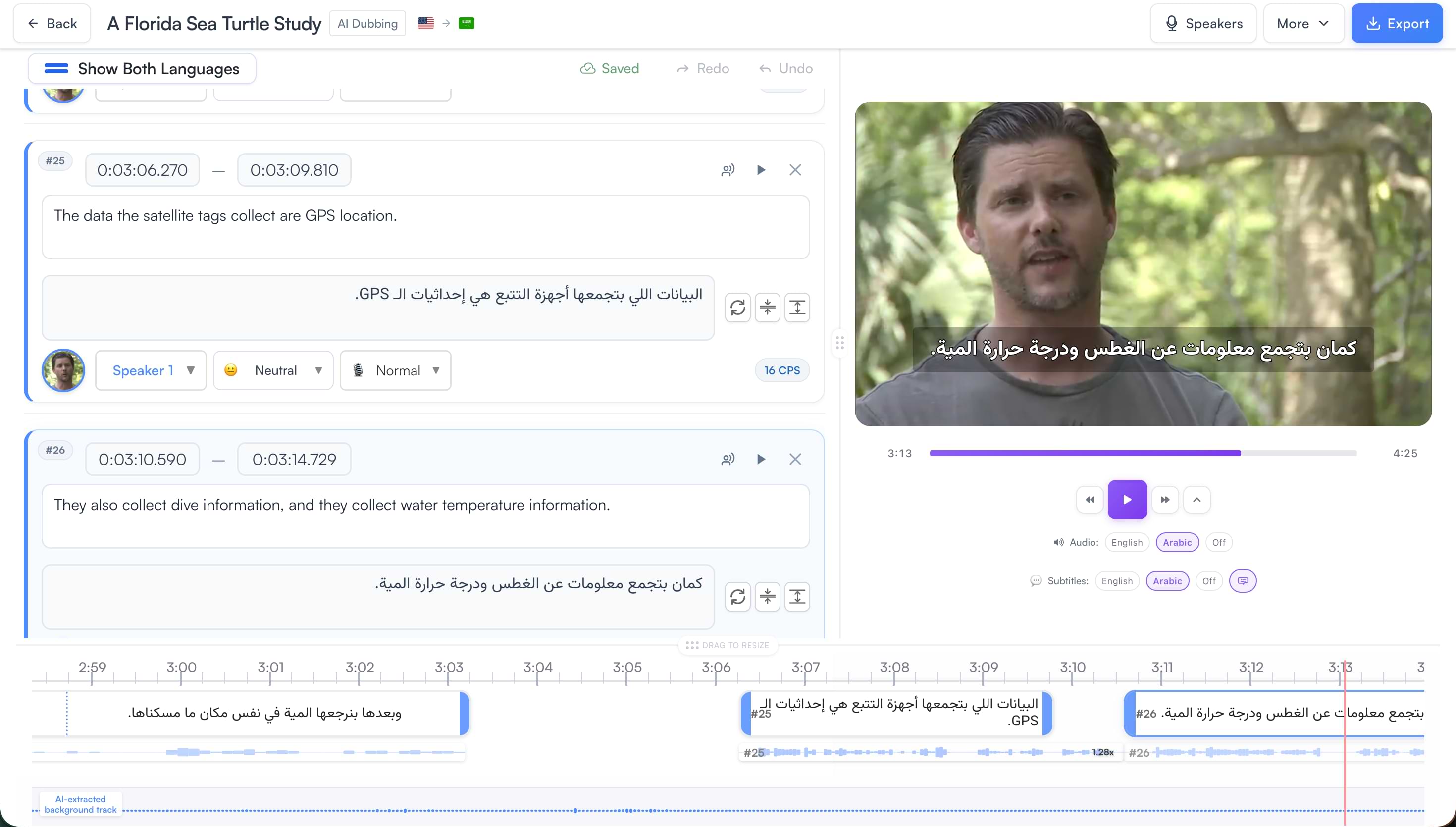 RTL styled Arabic subtitles preview